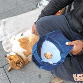 Menschen dürfen, Tiere nicht