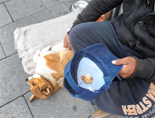 Für obdachlose Menschen mit Hund gibt es in Rosenheim keine Unterkünfte. Foto Siemons