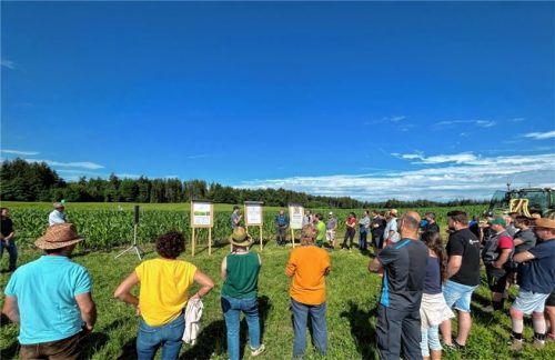 Josef Linner stellt den Teilnehmern am Feldtag seinen Praxisversuch mit Mulchsaat-Mais vor. Foto Koder/ AELF Rosenheim