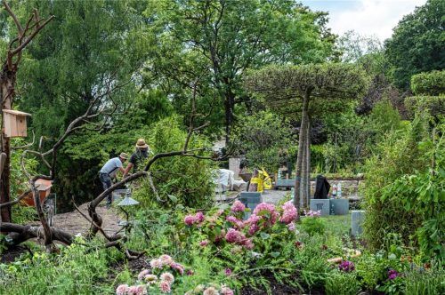 Neuer Raum für Trauer: Bei der Erweiterung des Friedhofs in Altenbeuern sind alternative Bestattungsmöglichkeiten, wie hier im Beispielfoto unter Blumen- beziehungsweise Rosenbeeten vorgesehen. Foto DPA