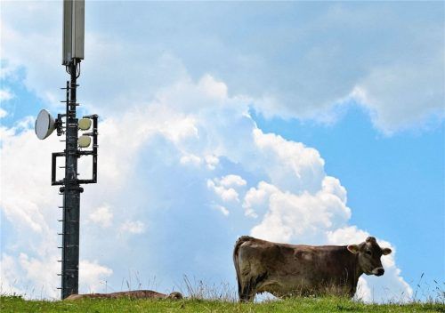 Vor allem im ländlichen Bereich kommt es immer wieder zu massiven Protesten gegen den geplanten Ausbau mitMobilfunkmasten. Auch in Riedering ist man in Sorge: Der Außenbereich soll geschont werden.Foto Dpa