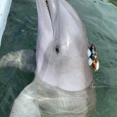 Kommen Sie fehlerfrei durch diese 15 Fragen?