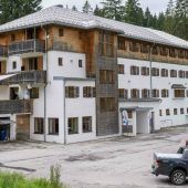 „Kühe haben mein Auto demoliert“