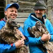 Sisi und Nepomuk üben das Fliegen