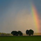 Regenbogen für den Bildschirm