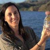 Mit Algen gegen den Klimawandel