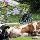 Neue Datenbank für Unfälle im Bergsport