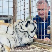 Fünf Tiger für Gut Aiderbichl