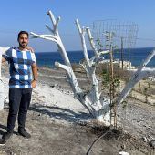 Verbrannte Erde im Urlaubsparadies