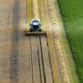 Ernte heuer eine Zitterpartie