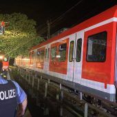 Das große Aufräumen nach der Orkannacht