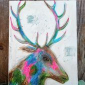 Tierbilder im Café Dinzler