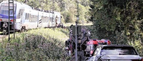 Dem schnellen Handeln der 28-jährigen Zugführerin ist es zu verdanken, dass der Unfall an einem Bahnübergang zwischen Altenburg und Niederaltenburg glimpflich ausging. Foto Reisner