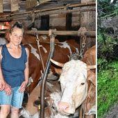 Landwirt fühlt sich von Bürgermeister bedroht