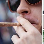 Alle kritisieren Cannabis-Gesetz