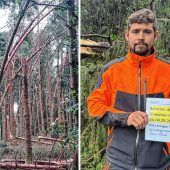 Das große Aufräumen nach dem Sturm