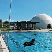 Tierisches Vergnügen in der Therme