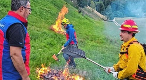 Löschtruppe: Lindon Pronto (rechts), Jörg Häusler von der Bergwacht Bayern (Mitte) und der Sachranger Bergbauer Wast Pertl (links) im Einsatz.