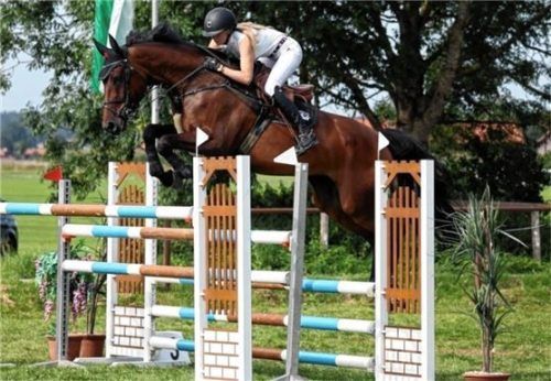 Magdalena Wiesböck auf Fairy Tail belegte bei der Springprüfung Klasse S* Platz drei. Foto privat