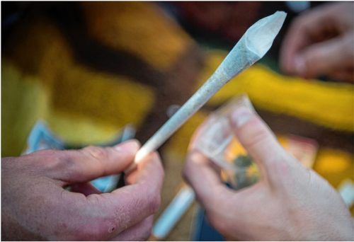 Marihuana für einen Joint hat eine 55-jährige Kolbermoorerin an Minderjährige verkauft. Jetzt musste sie sich dafür vor dem Schöffengericht verantworten. Foto dpa