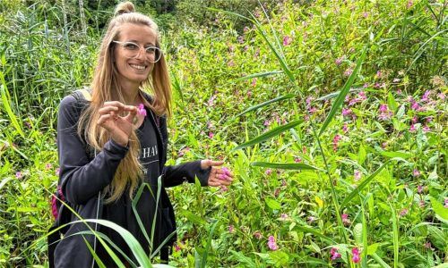Mit Achtsamkeitswanderungen im Lohholzer Wald will Renate Kumberger Mensch und Natur wieder enger miteinander verbinden. Dazu gehört auch Pflanzenkunde. Blüten und Samen des indischen Springkrautes beispielsweise sind essbar und helfen gegen innere Unruhe.Fotos  Gerlach