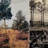 Zeitzeuge erinnert sich an die Anfänge
