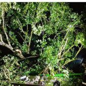 Zug bei Oberaudorf nachts evakuiert