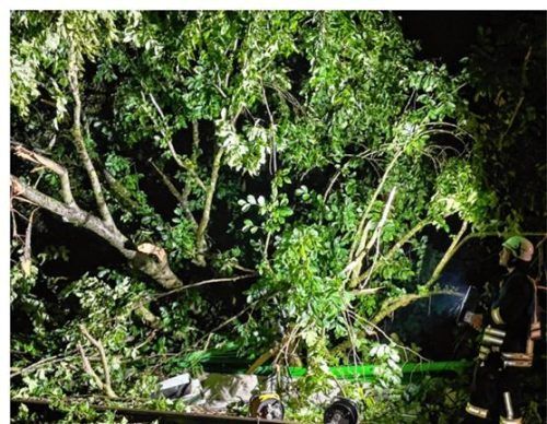 Sturmschaden: In der Nacht auf Freitag stürzte zwischen Oberaudorf und Kiefersfelden ein Baum auf die Bahngleise.