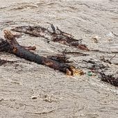 Das große Aufräumen beginnt