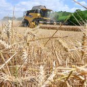 Landwirte müssen sich dem Klima anpassen