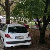 Ärger ums Parken im Park