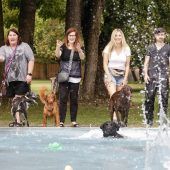 Leinen los im Ungererbad