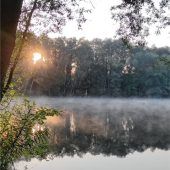 Verzaubernde Spiegelung im Frühnebel