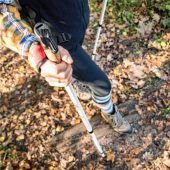 Wandern im Herbst