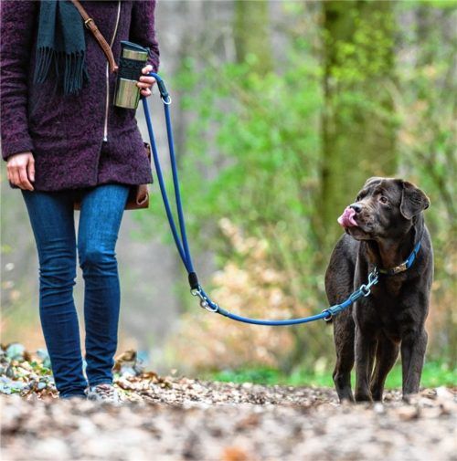 Der Besitz von Hunden wird in Schechen zum Teil deutlich teurer. Foto dpa