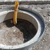 Bäume erhalten mehr Platz zum Wachsen