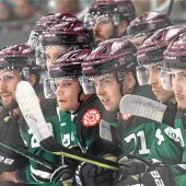 Die Gegner der Starbulls Rosenheim