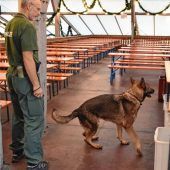 Sprengstoff-Experten auf vier Beinen