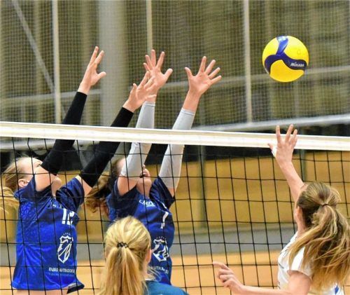 Die Volleyball-Damen des MTV Rosenheim spielen nun in der 3. Liga.Foto MTV Rosenheim