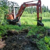 Entwässerung des Mooresin Bad Feilnbach wird gestoppt