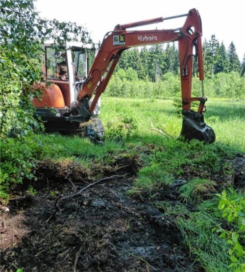 Ende September starten die Renaturierungsarbeiten im östlichen Teil der Eulenauer Filz.Foto Bayerische Staatsforsten