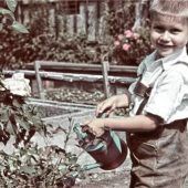 Als neben dem Zelt der Misthaufen war