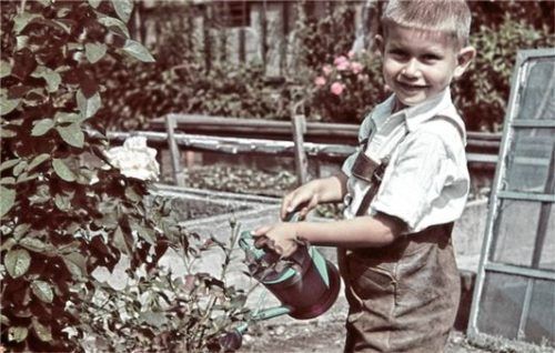 Franz Steegmüller als Kind beim Garteln.