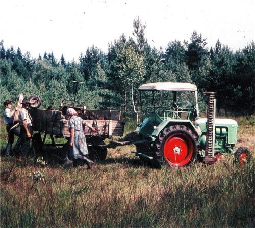 Friedrich Stein (heute 70) im zarten Alter von 15 Jahren bei der Arbeit in den „Filzen“ mit seiner Großmutter und deren Bruder. Fotos Friedrich Stein