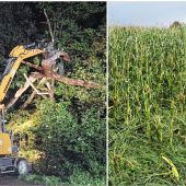 Und jetzt noch die Unwetter