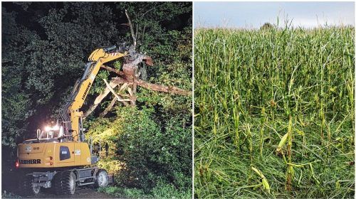 Heftige Unwetter haben in der Region Schneisen der Verwüstung hinterlassen. Bäume sind umgefallen und auch Maisfelder wurden beschädigt. Foto Collage: KFV Traunstein/Reisner