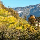 Beste Saison für Südtirol