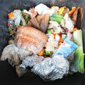 Streit um Biotonne geht weiter