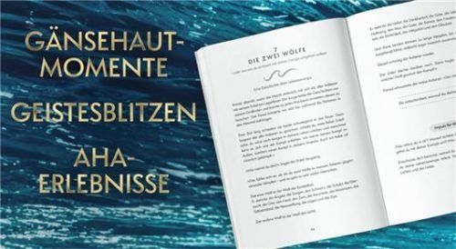 Jede Geschichte gibt einen Impuls, der erst zu Geistesblitzen und dann zu Aha-Effekten führen könnte.