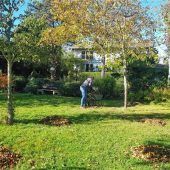 Den Rasen im Herbst pflegen